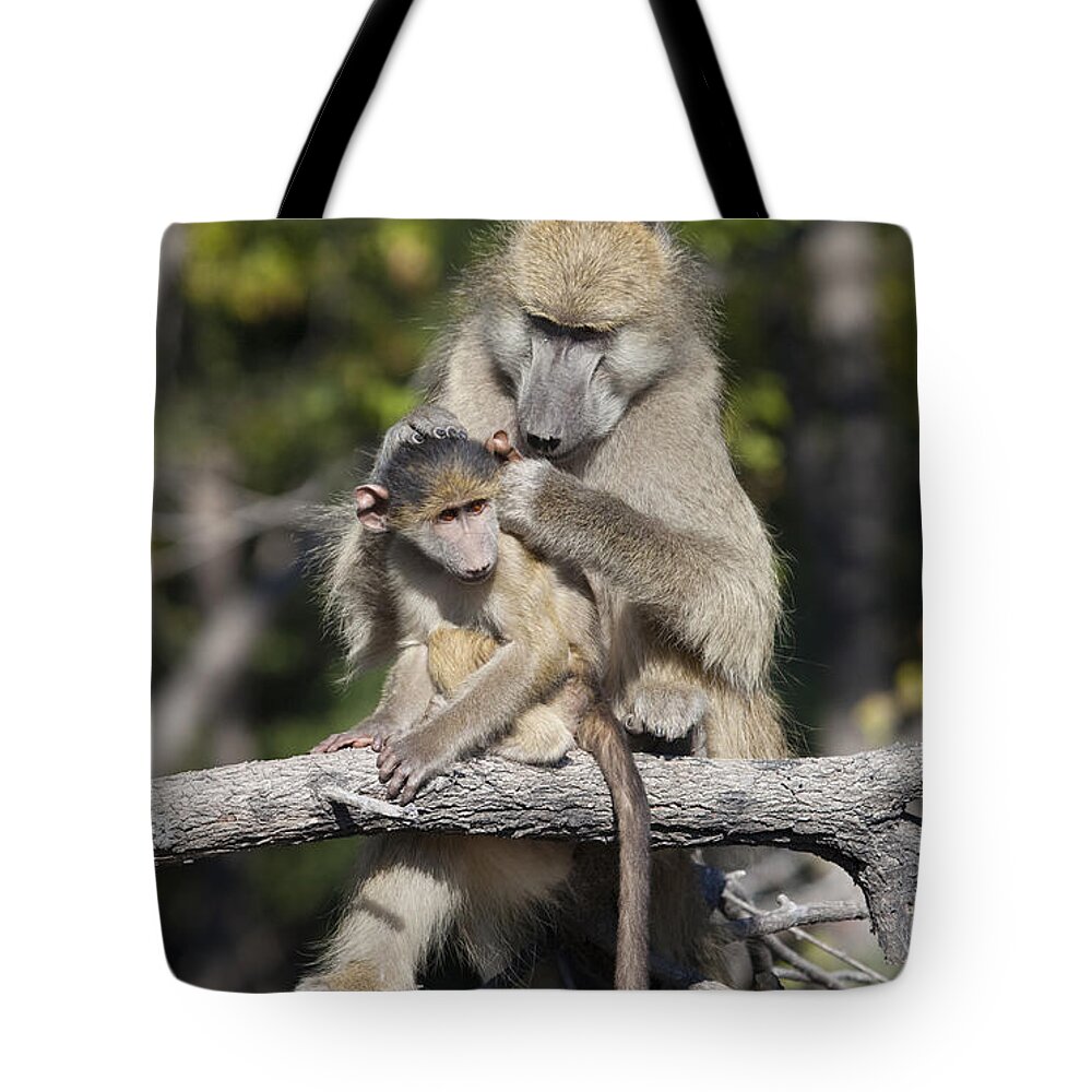 Animal Behaviour Tote Bag featuring the photograph Have you cleaned behind your ears by Liz Leyden