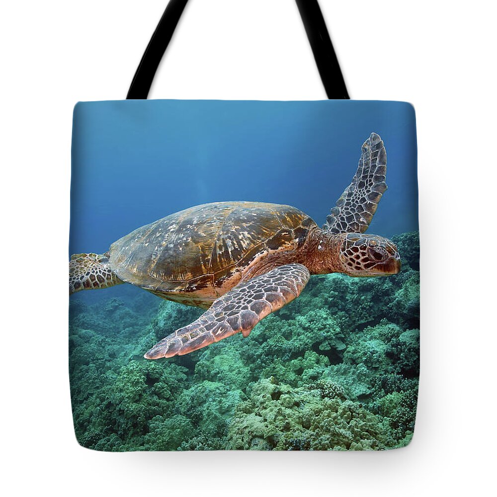 Underwater Tote Bag featuring the photograph Hawaiian Green Sea Turtle, Kona, Hawaii by Stevedunleavy.com