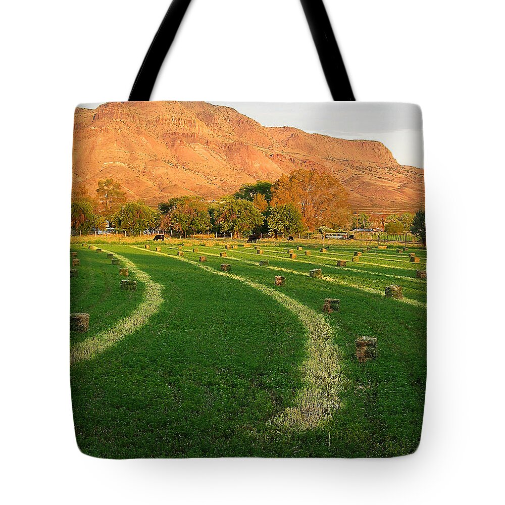 Socorro Tote Bag featuring the photograph Hay Bales - Socorro - NM by Steven Ralser