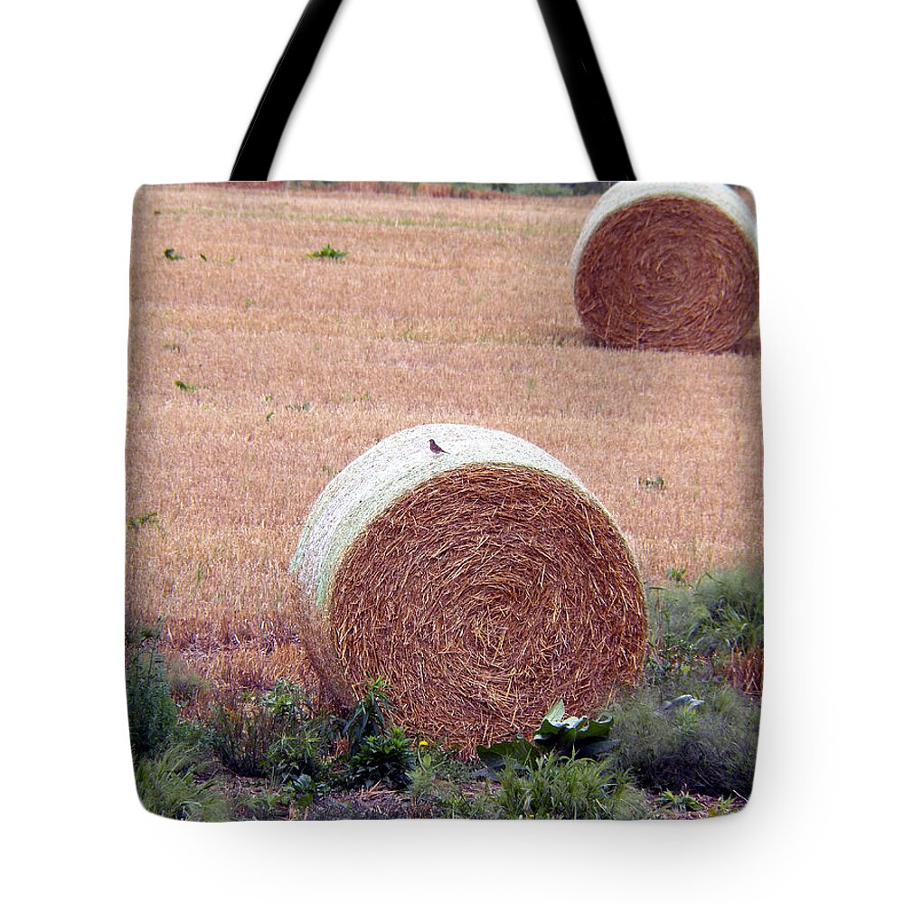 Hay Tote Bag featuring the photograph Hay Bales2 by Corinne Elizabeth Cowherd