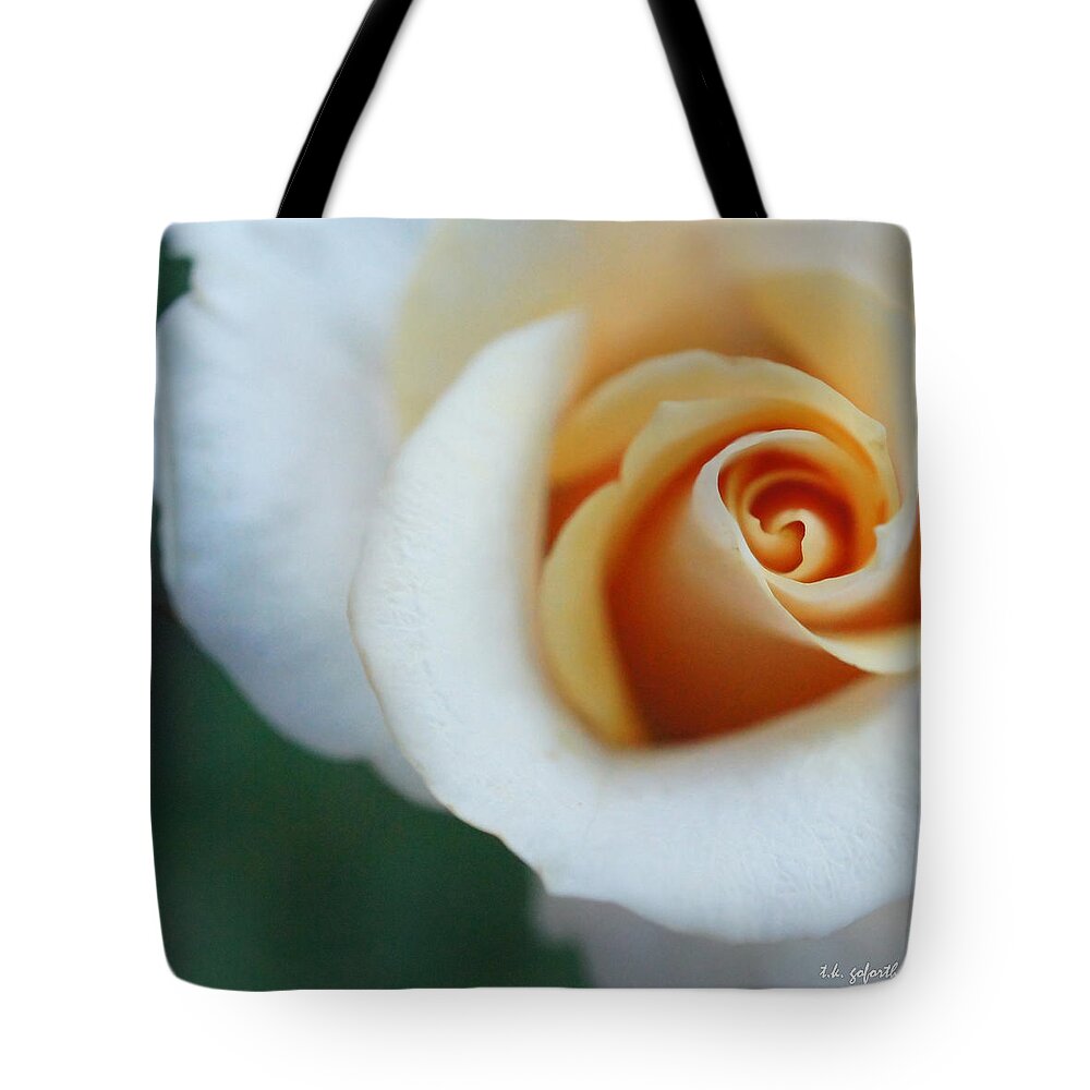 Rosebud Tote Bag featuring the photograph Hazy Rose Squared by TK Goforth