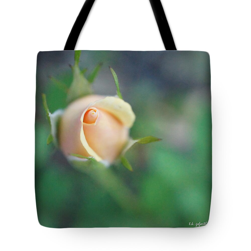 Rosebud Tote Bag featuring the photograph Hazy Rosebud Squared by TK Goforth