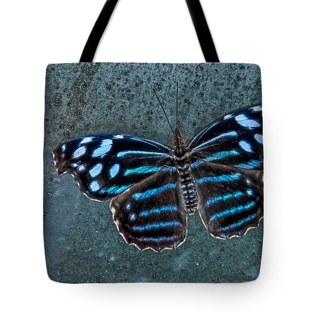 Insects Tote Bag featuring the photograph HDR Butterfly by Elaine Malott