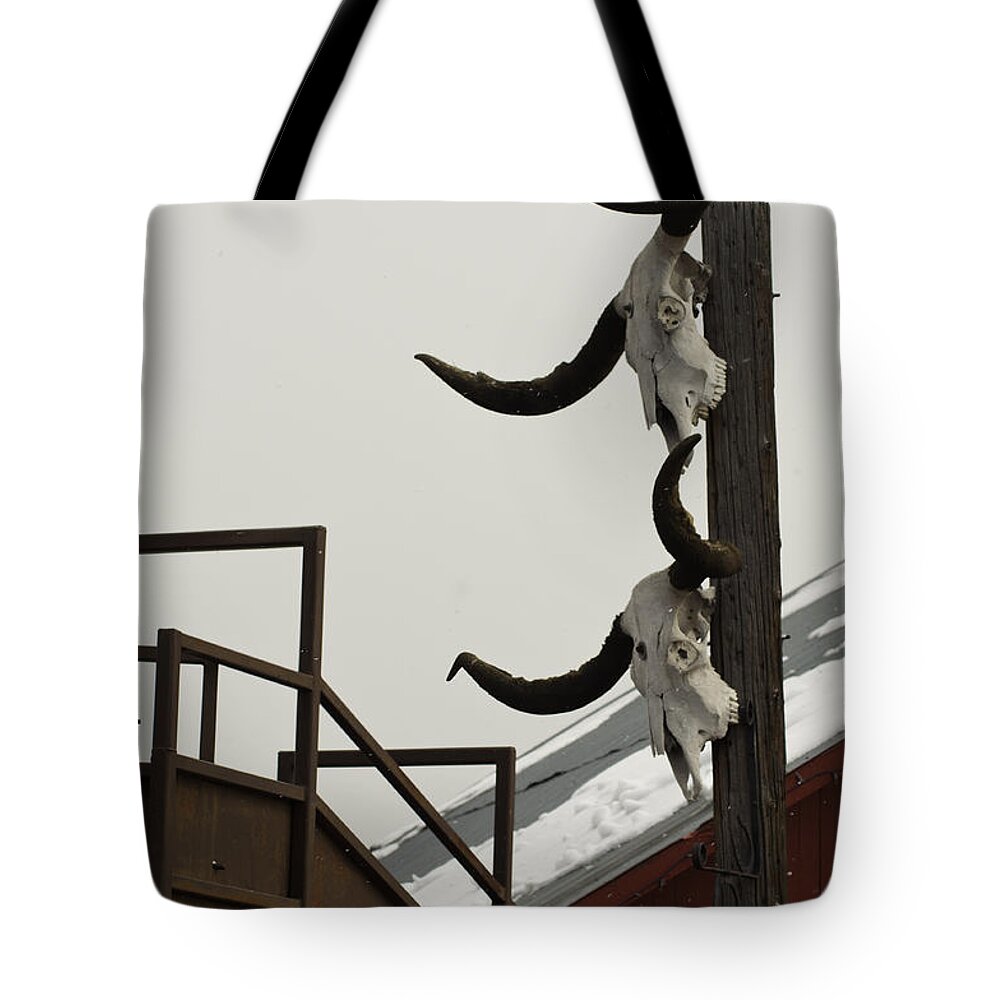 Head� Em Up N Move� Em Out! Texas Long Horn Skulls Tote Bag featuring the photograph Head em Up n Move em Out by Daniel Hebard