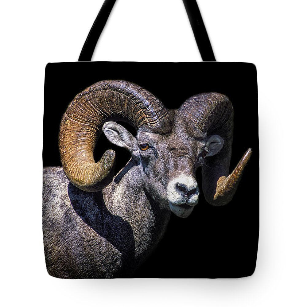 Crystal Yingling Tote Bag featuring the photograph Head Strong by Ghostwinds Photography