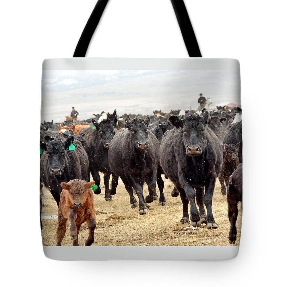 Cattle Tote Bag featuring the photograph Headed for Branding by Kae Cheatham