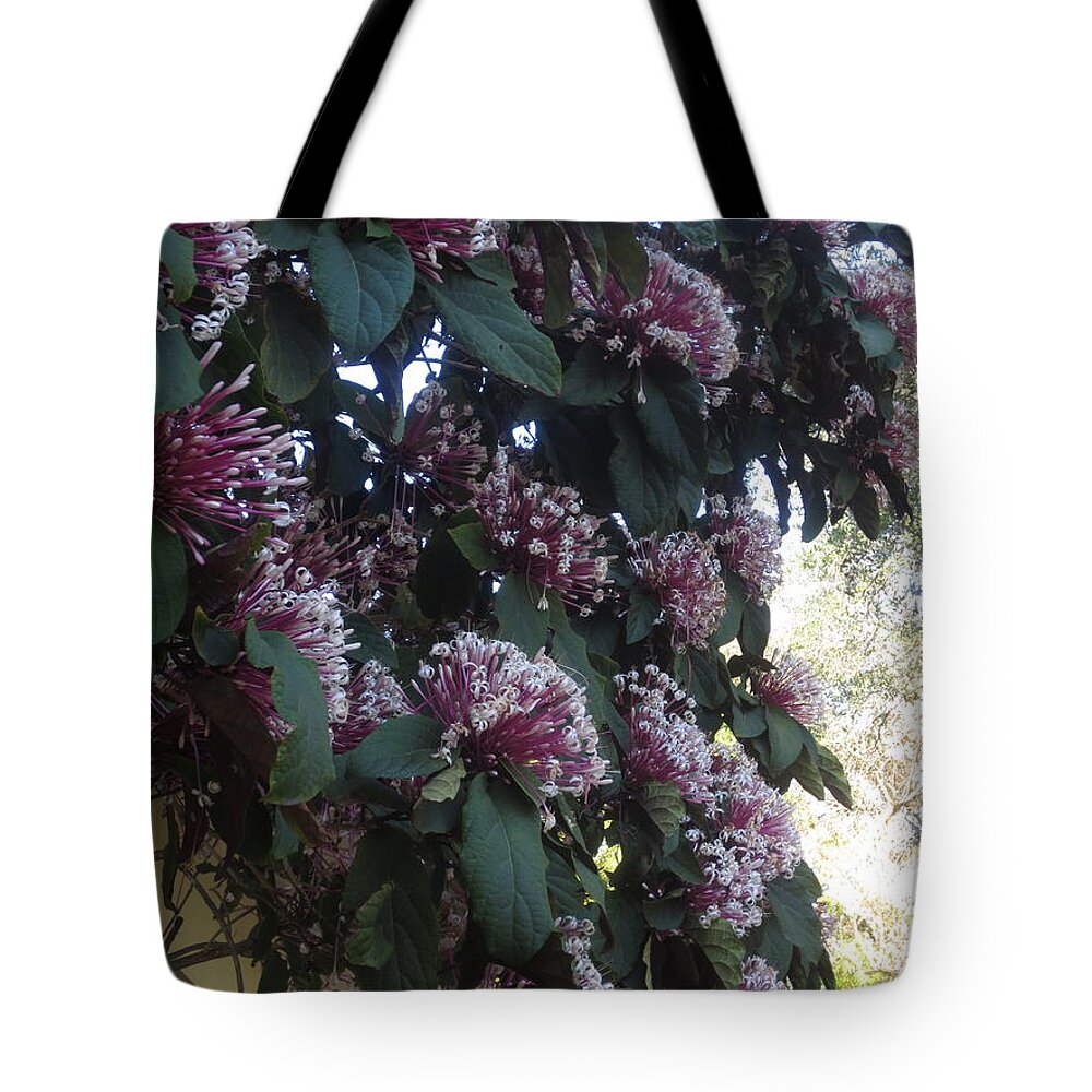  Tote Bag featuring the photograph Healing by Richard Laeton