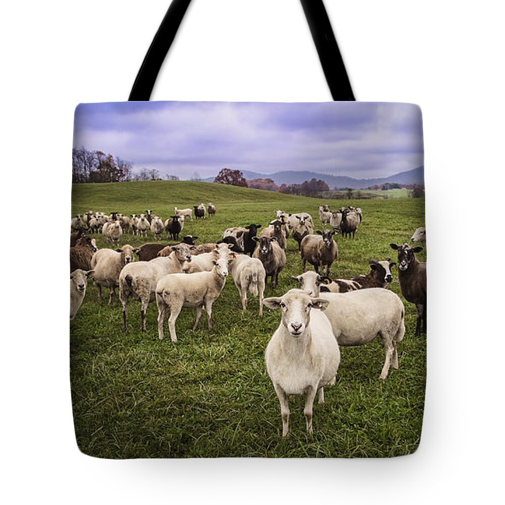 Sheep Tote Bag featuring the photograph Hear My Voise by Jaki Miller