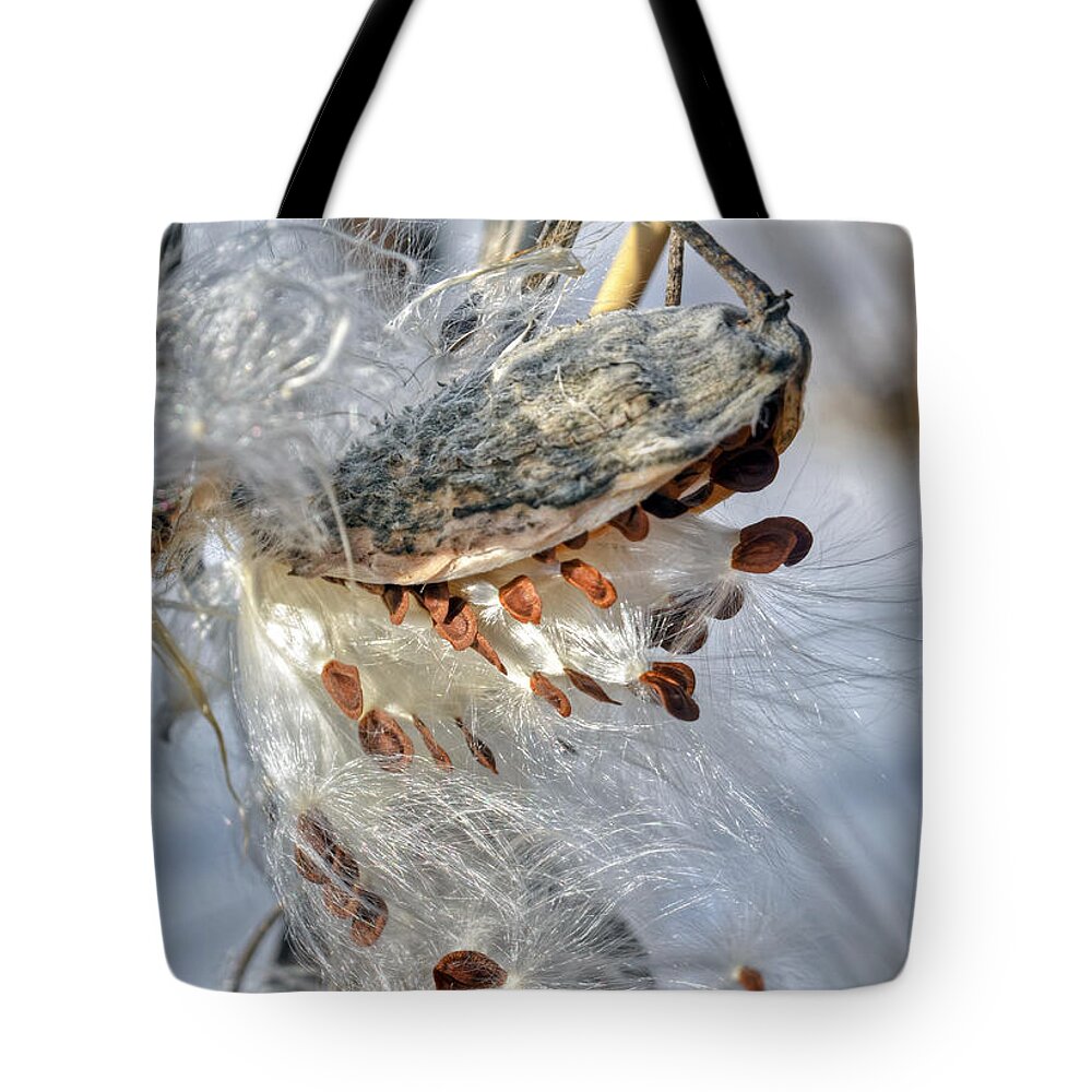 River Tote Bag featuring the photograph Heart of flying seeds by PatriZio M Busnel