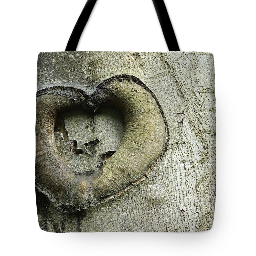 Heart Tote Bag featuring the photograph Heart Of The Forest by David Birchall