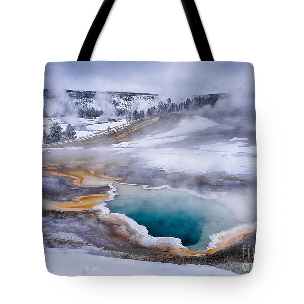 Heart Spring Tote Bag featuring the photograph Heart Spring by Priscilla Burgers