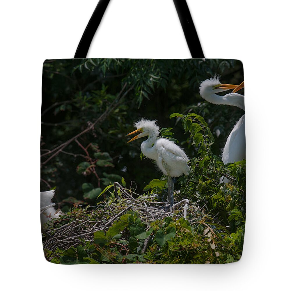 Egret Tote Bag featuring the photograph Hearts of Love by Dale Powell