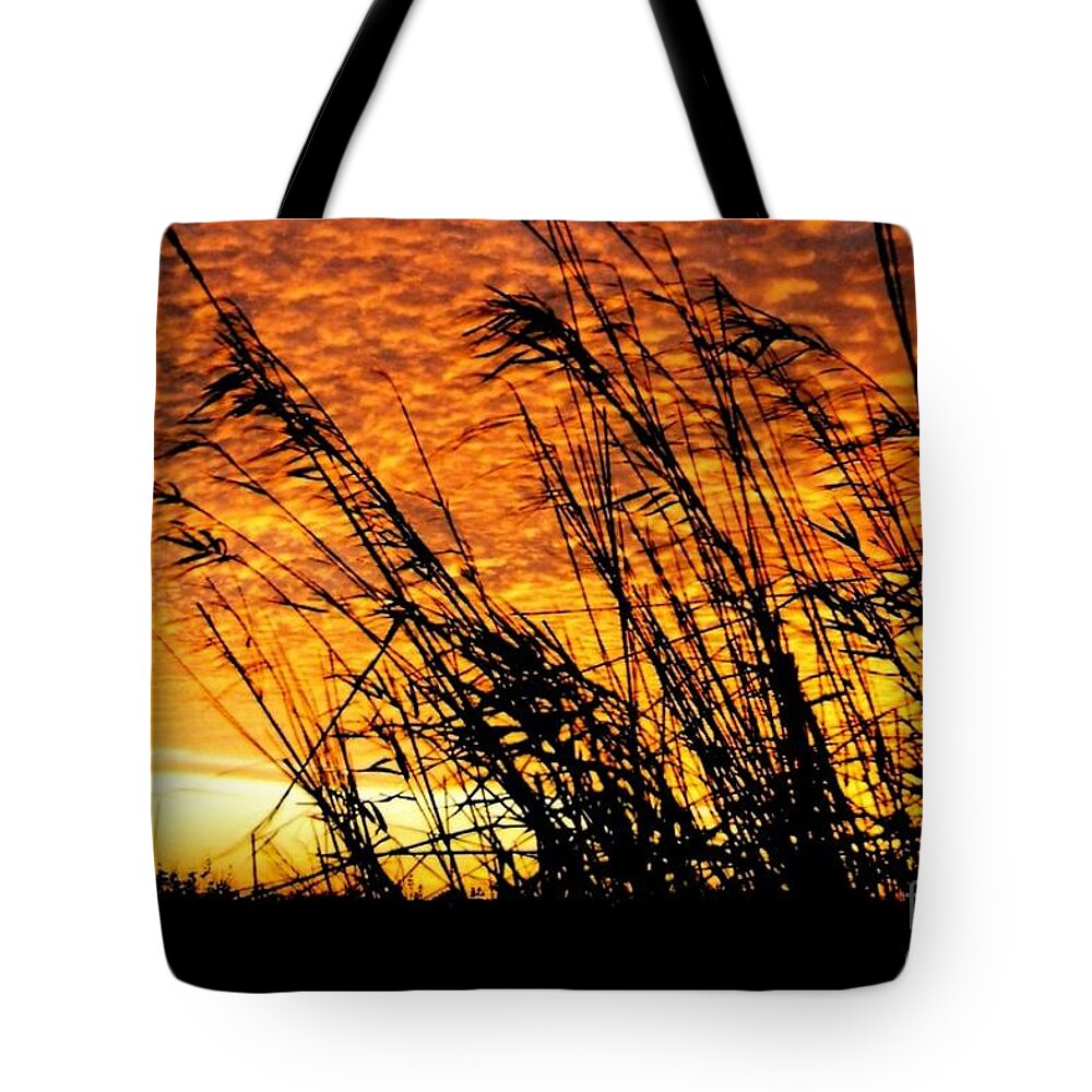 Beaumont Tote Bag featuring the photograph Sunset Heaven and Hell In Beaumont Texas by Michael Hoard