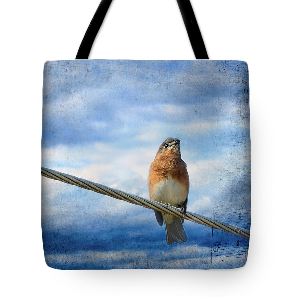 Eastern Bluebird Tote Bag featuring the photograph Heavenly Song Of The Bluebird by Jai Johnson