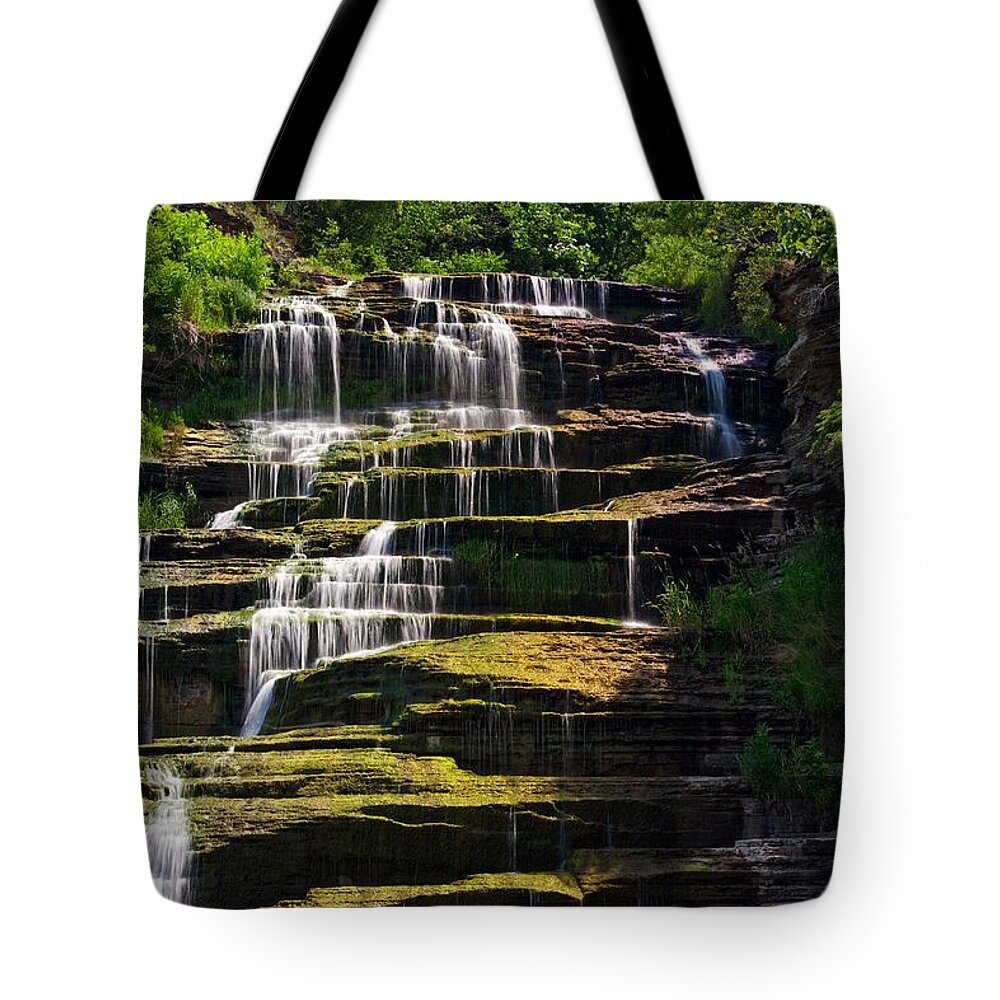 Hector Waterfall Tote Bag featuring the photograph Hector Falls by Dave Files