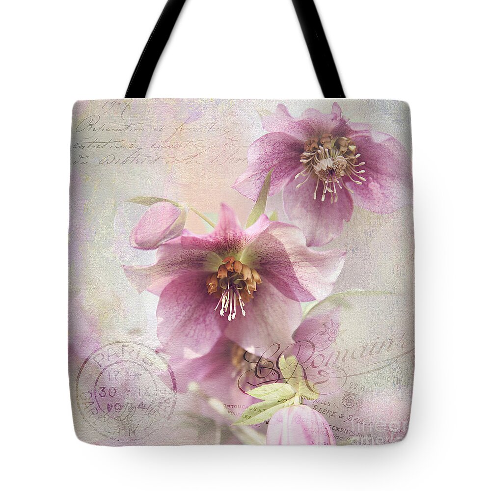 Hellebore Tote Bag featuring the photograph Hellebore by Sylvia Cook
