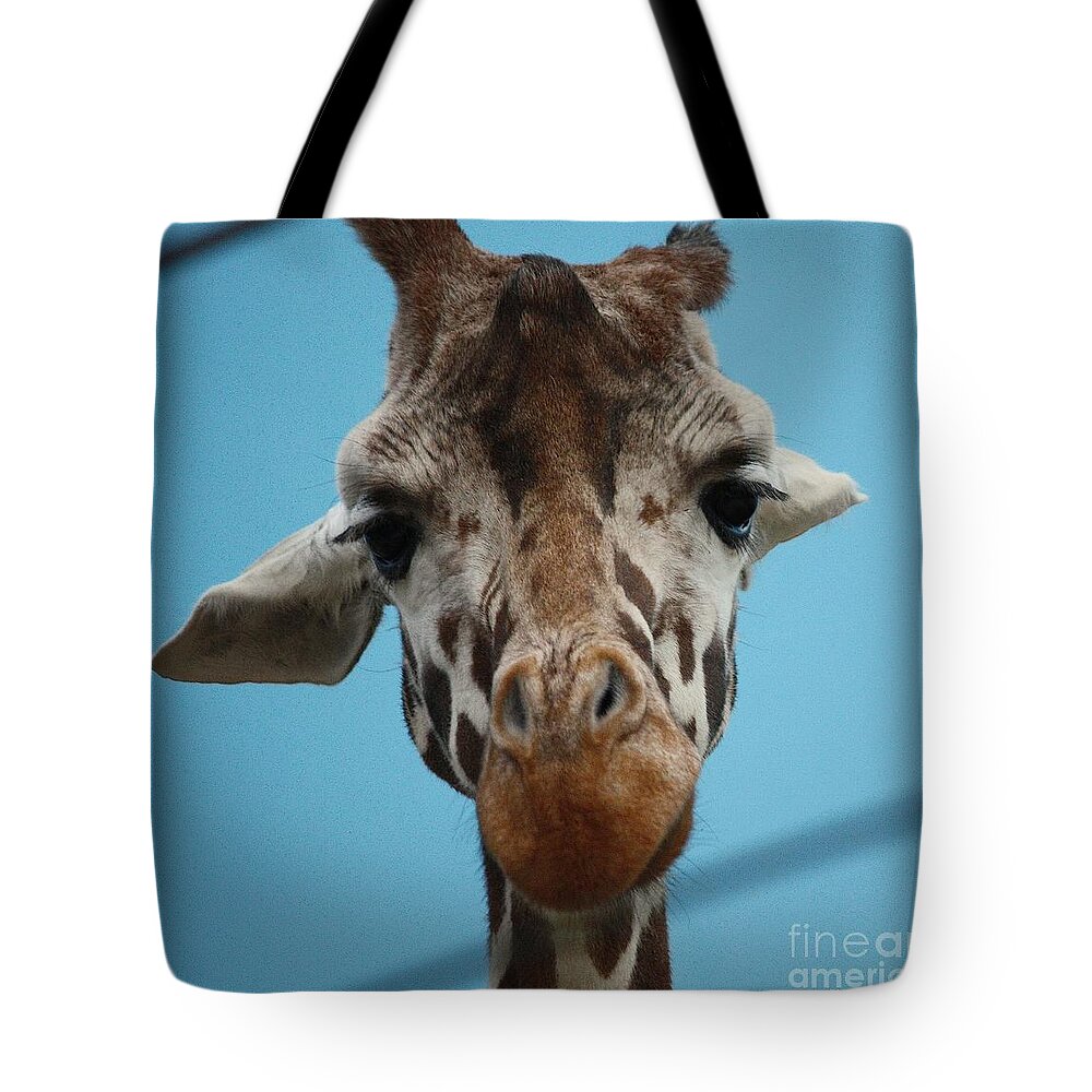 Giraffe Tote Bag featuring the photograph Hello There by Veronica Batterson