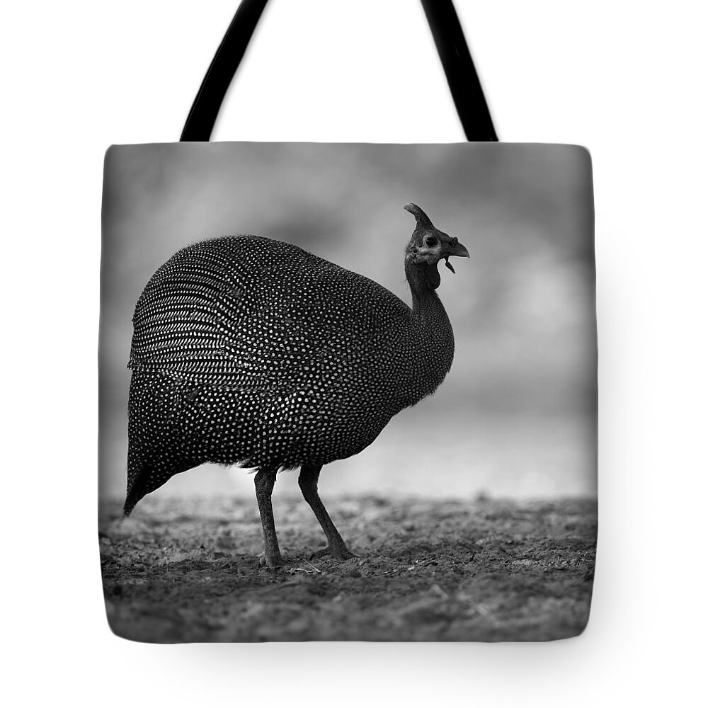Guinea Tote Bag featuring the photograph Helmeted Guineafowl by Bruce J Robinson