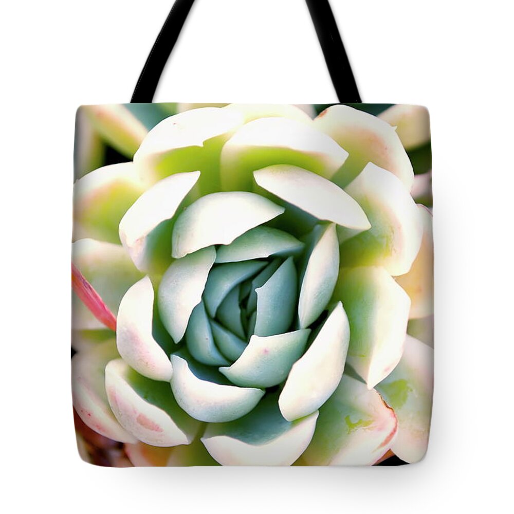 Scenics Tote Bag featuring the photograph Hens And Chicks Succulent In Soft Focus by Lazingbee