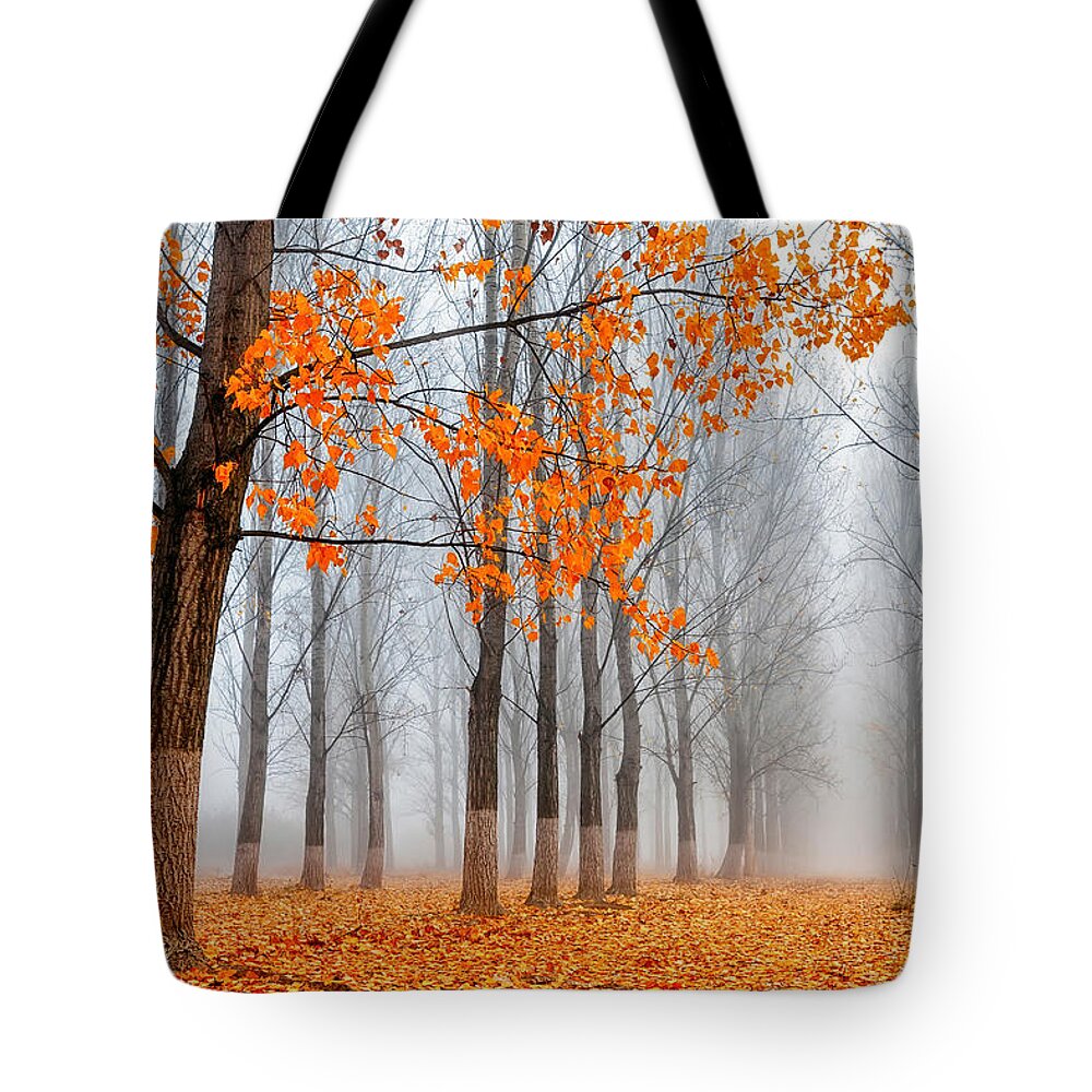 Bulgaria Tote Bag featuring the photograph Heralds Of Autumn by Evgeni Dinev
