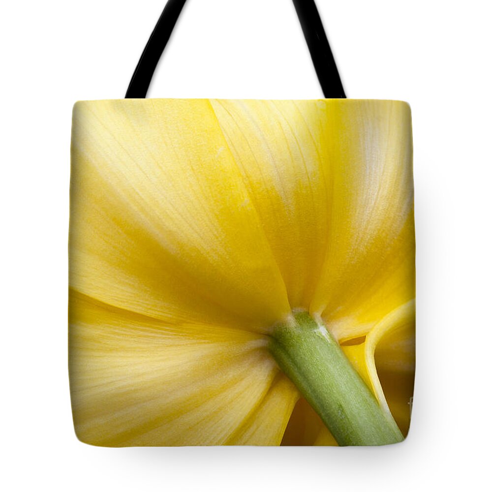 Tulip Tote Bag featuring the photograph Sunny Tulip by Patty Colabuono