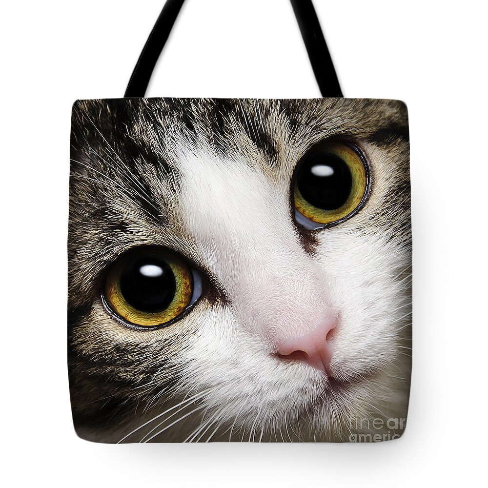 Acat Tote Bag featuring the photograph Here Kitty Kitty Close Up by Andee Design