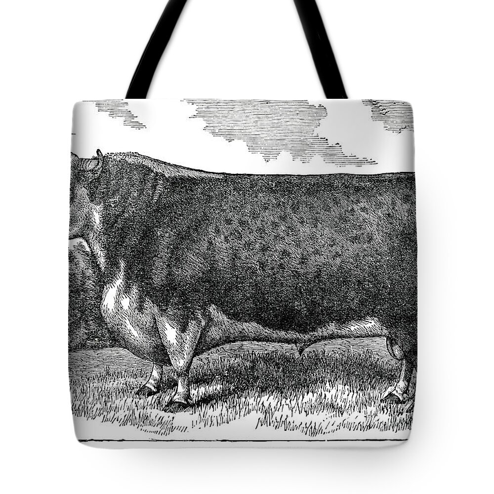 Engraving Tote Bag featuring the digital art Hereford Bull by Nnehring
