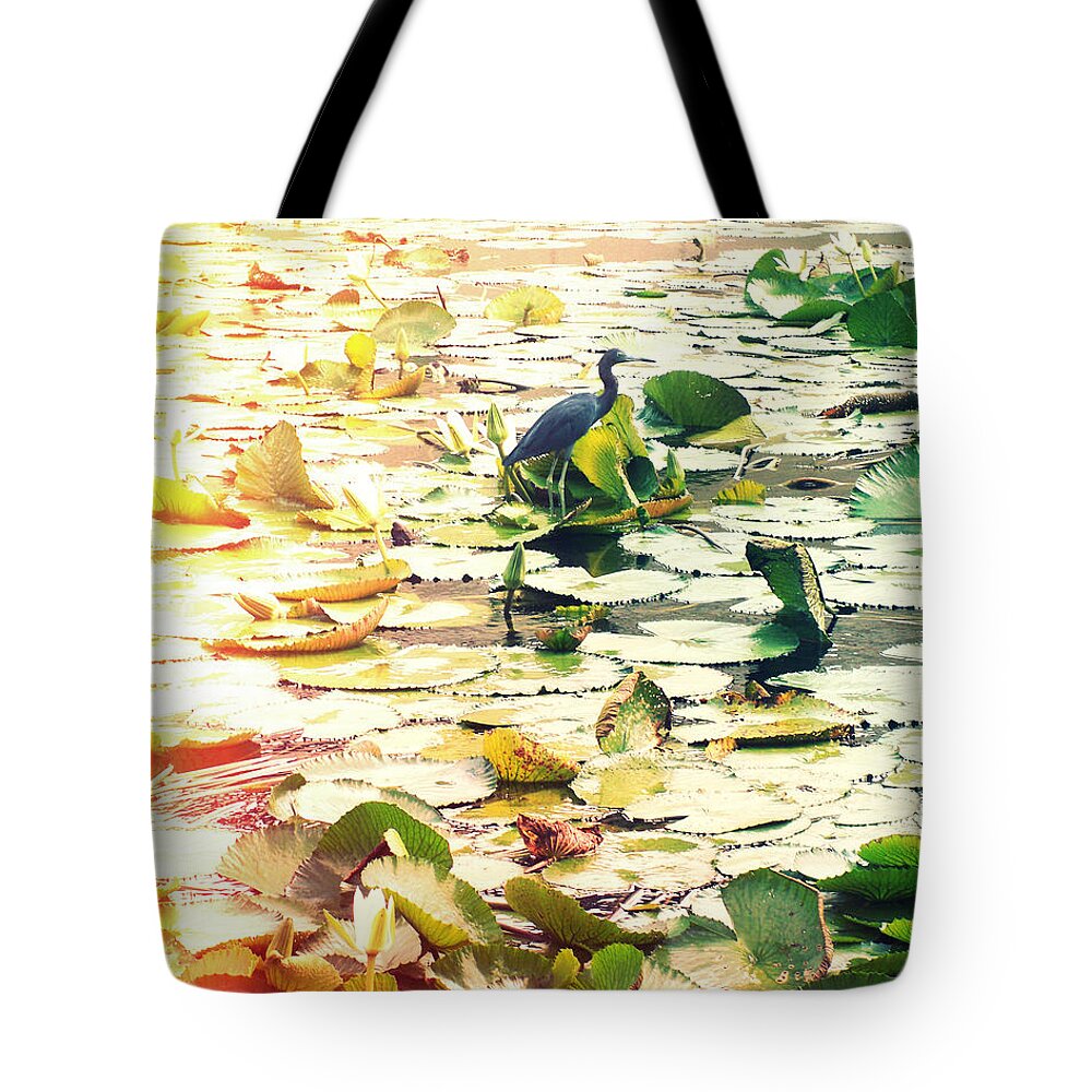 Florida Tote Bag featuring the photograph Heron Among Lillies Photography Light Leaks by Chris Andruskiewicz