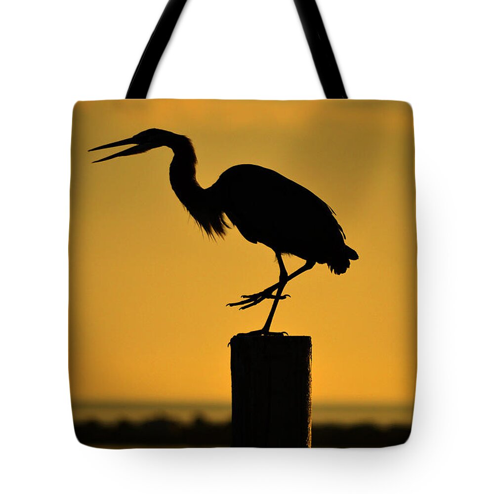 Heron Tote Bag featuring the photograph Heron at Sunrise by Leticia Latocki