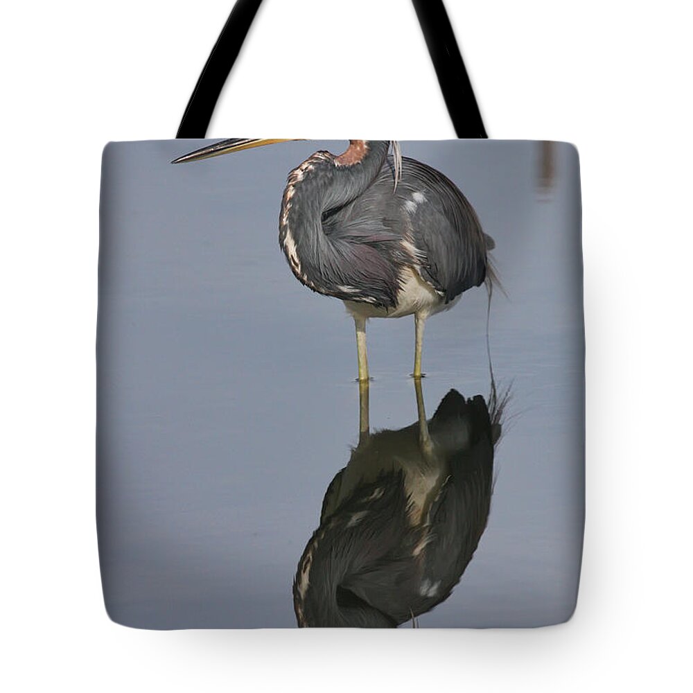 Heron Tote Bag featuring the photograph Heron Reflections by Jayne Carney