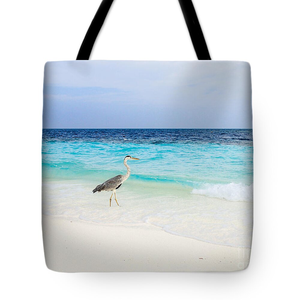Animal Tote Bag featuring the photograph Heron Takes A Walk At The Beach by Hannes Cmarits