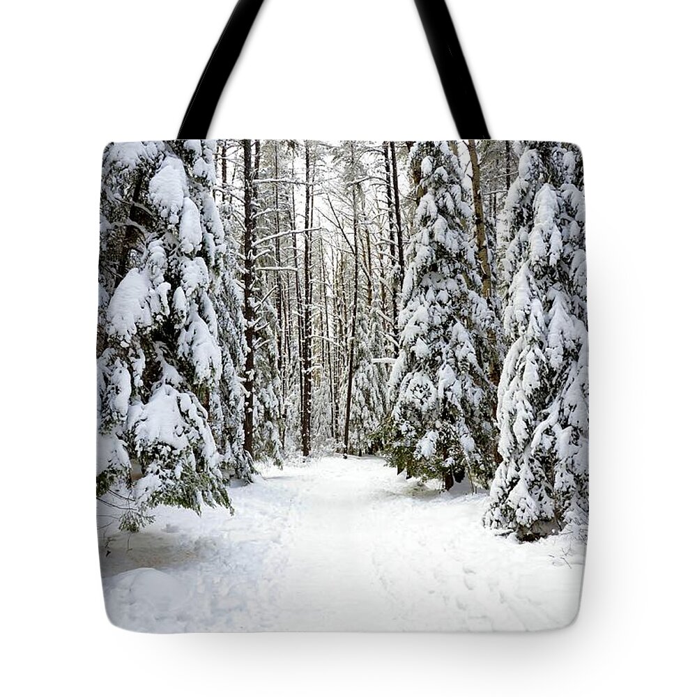 Snowy Scene Tote Bag featuring the photograph Hersey Lake winter path by Elaine Berger