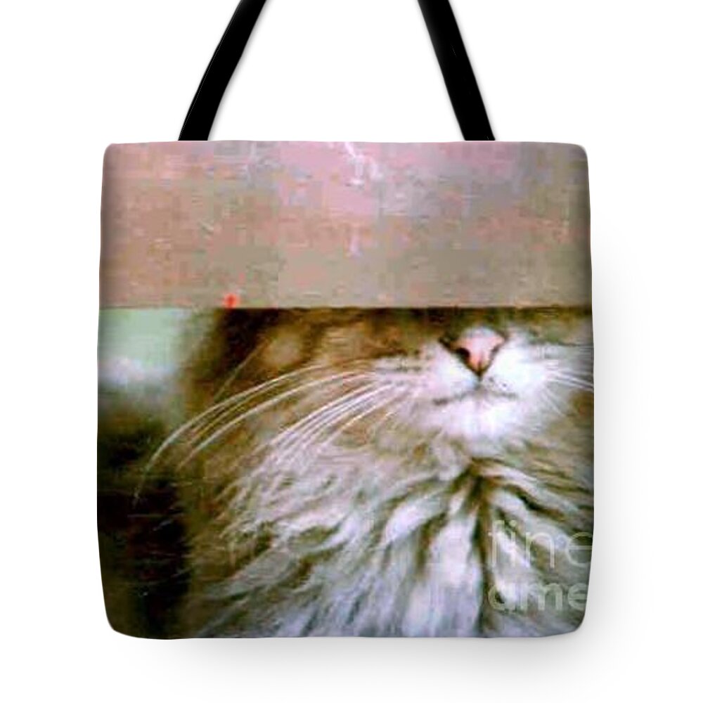 Cat Tote Bag featuring the photograph Hey Diddle Diddle by Michael Hoard