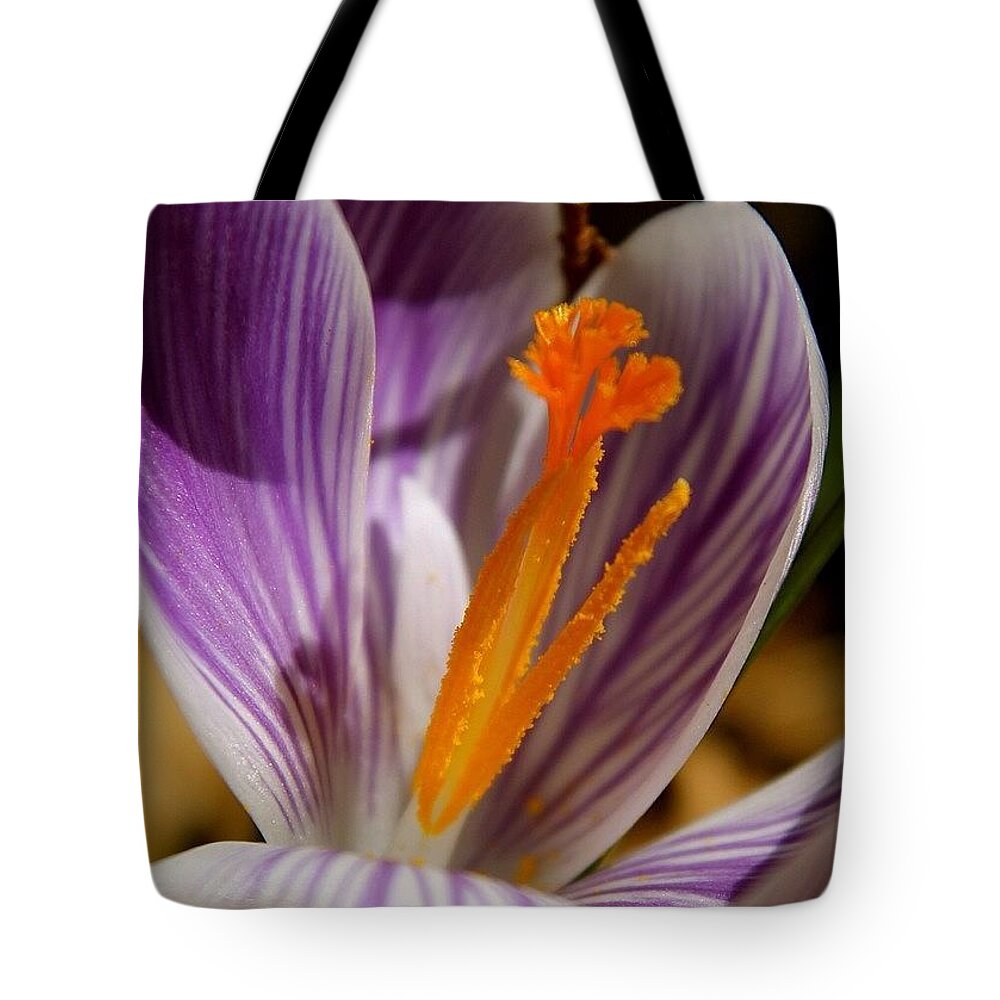 Flower Tote Bag featuring the photograph Hi Spring by Justin Connor