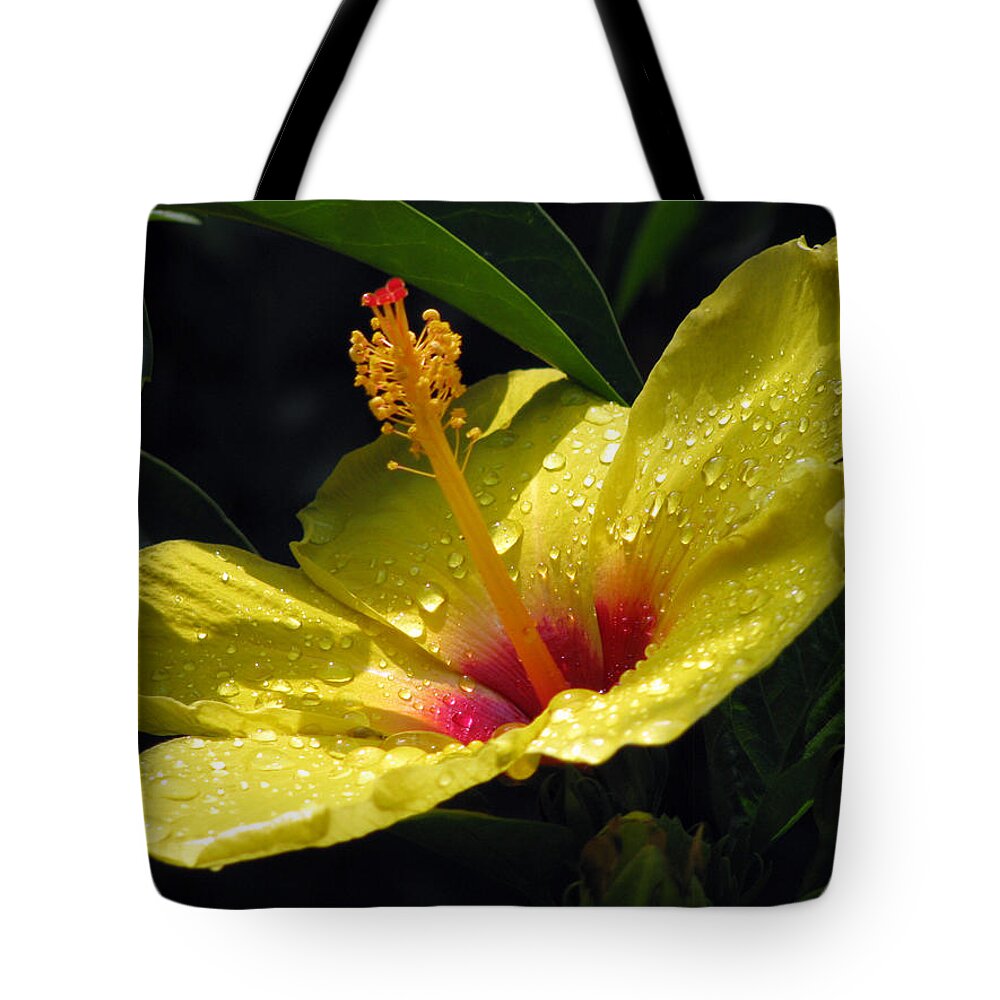 Hibiscus Tote Bag featuring the photograph Hibiscus - After The Rain - 05 by Pamela Critchlow
