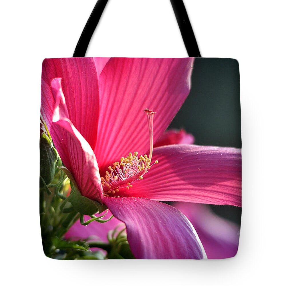 Nature Tote Bag featuring the photograph Hibiscus Morning Bright by Nava Thompson