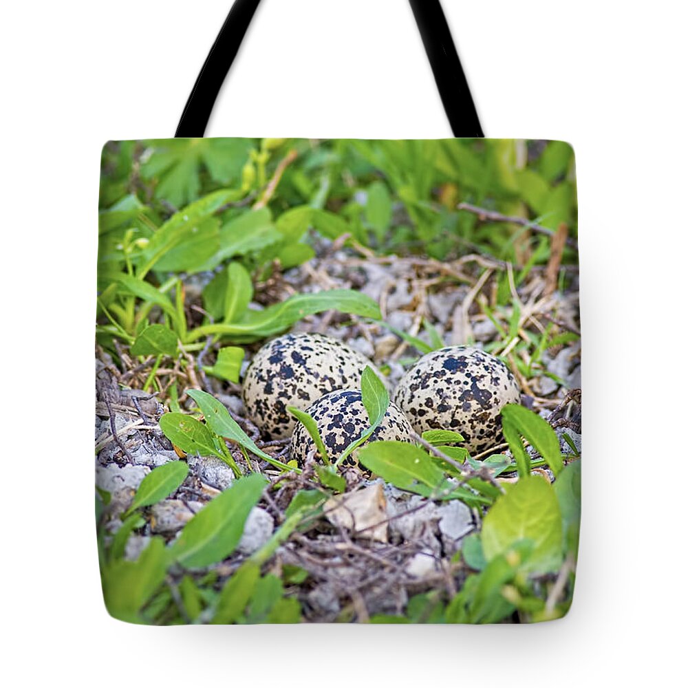 Hidden In Plain Sight Tote Bag featuring the photograph Hidden in Plain Sight by Gary Holmes