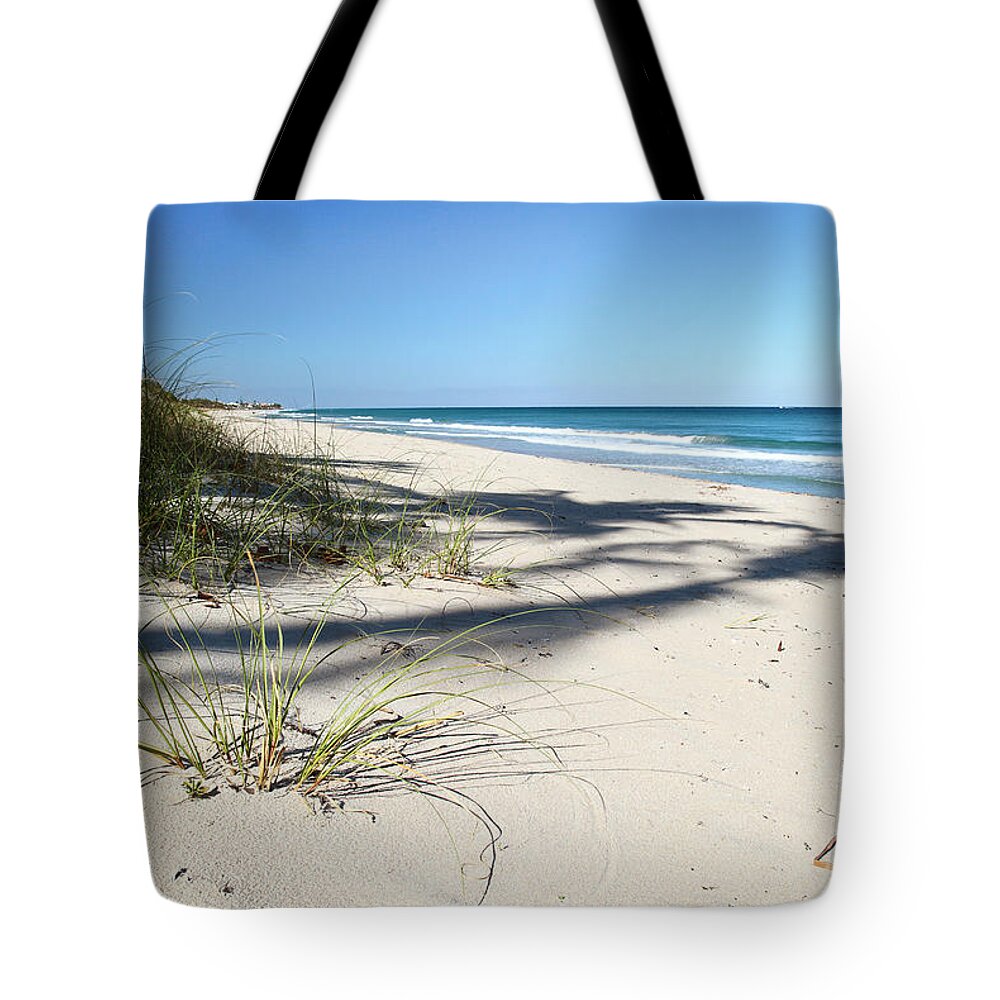 Beach Tote Bag featuring the photograph Hidden Palms by Michelle Constantine