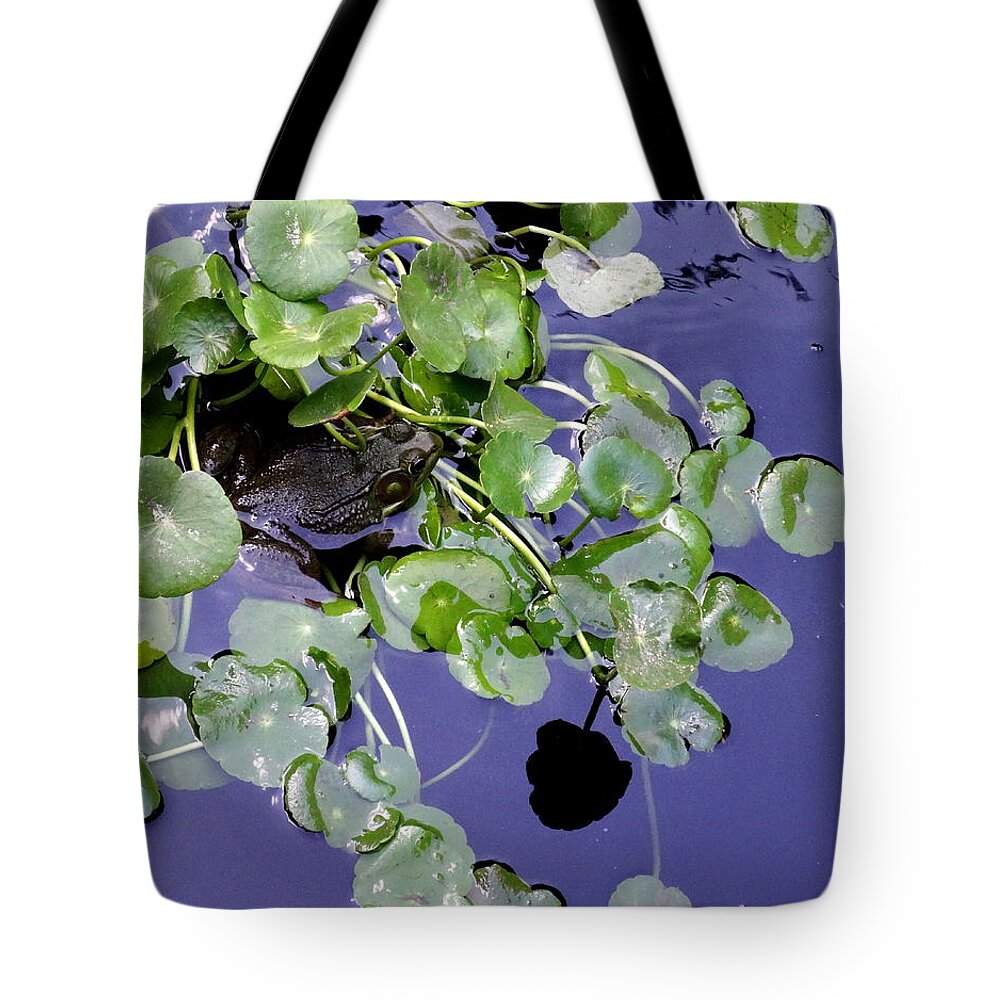 Lily Pond Tote Bag featuring the photograph Hide and Seek by Deborah Crew-Johnson