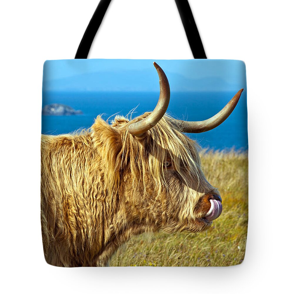 Highland Cattle Tote Bag featuring the photograph Highland Beauty by Bel Menpes