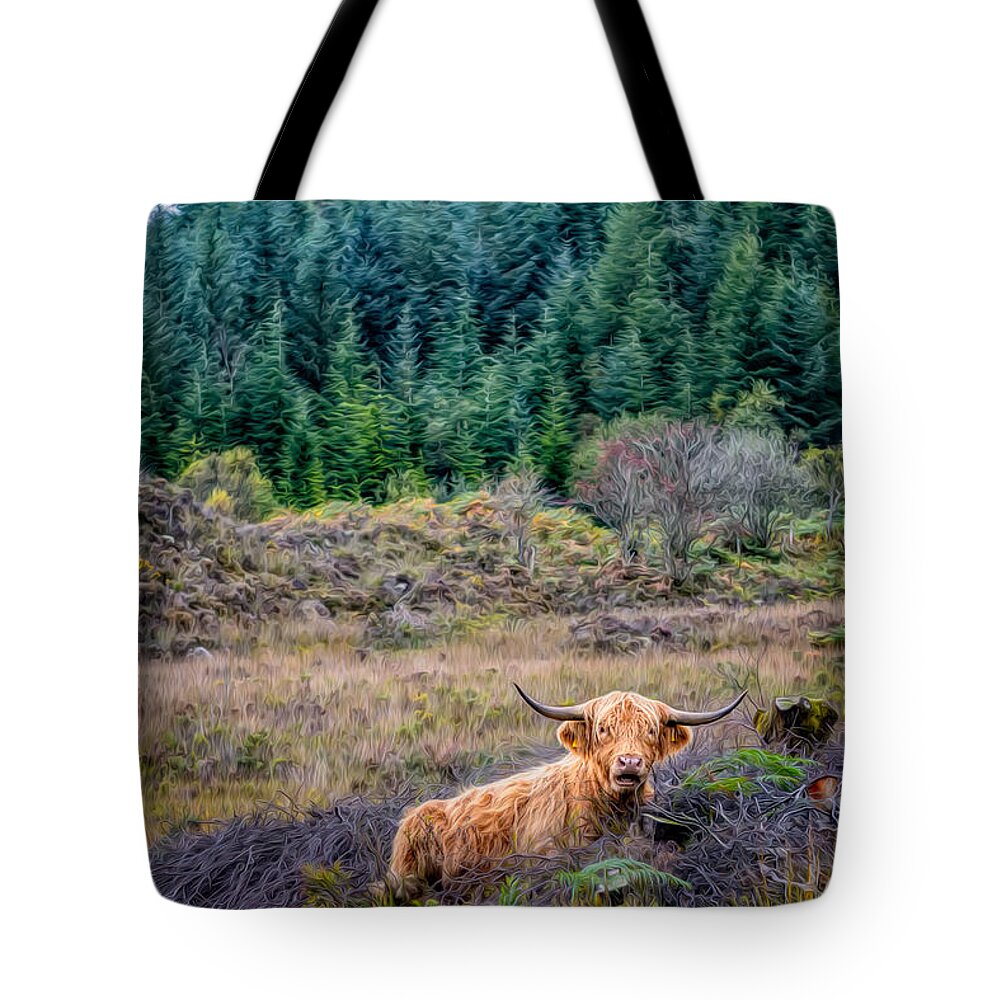 Hdr Tote Bag featuring the photograph Highland Cow by Adrian Evans