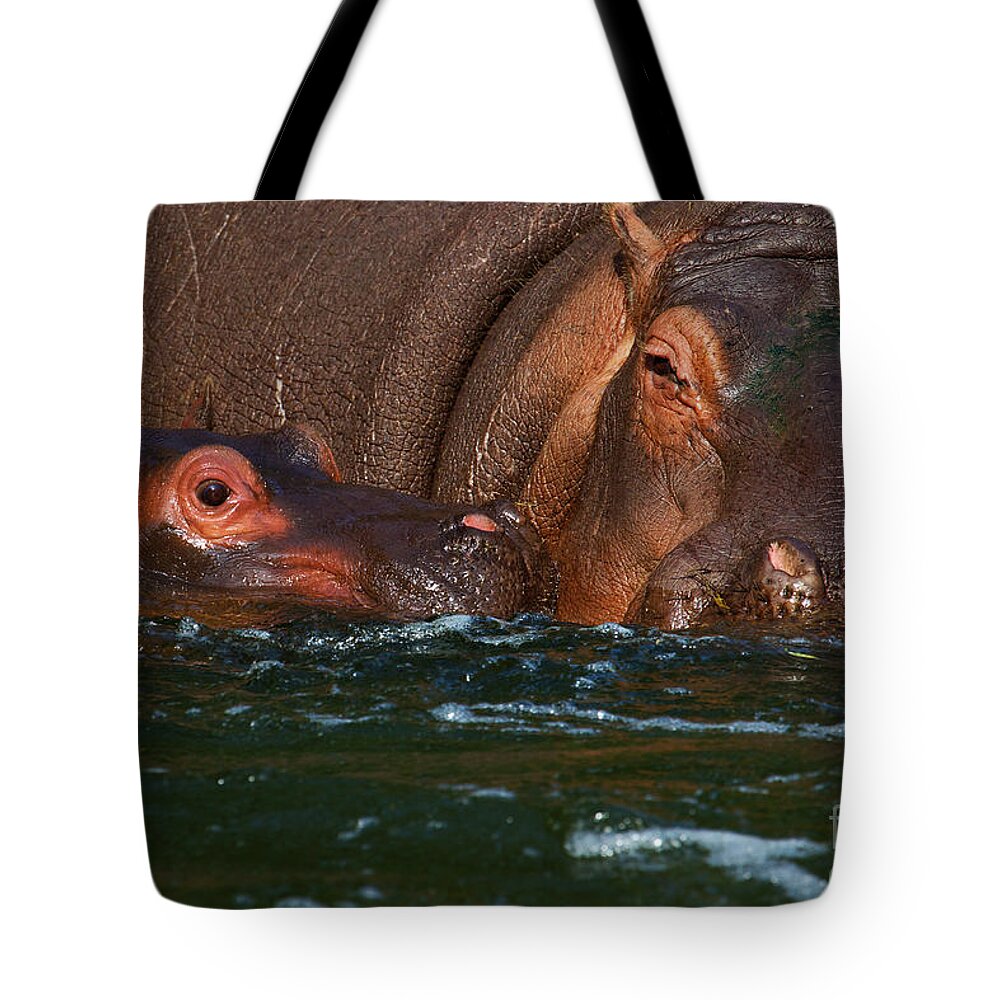Africa Tote Bag featuring the photograph Hippo with baby by Nick Biemans