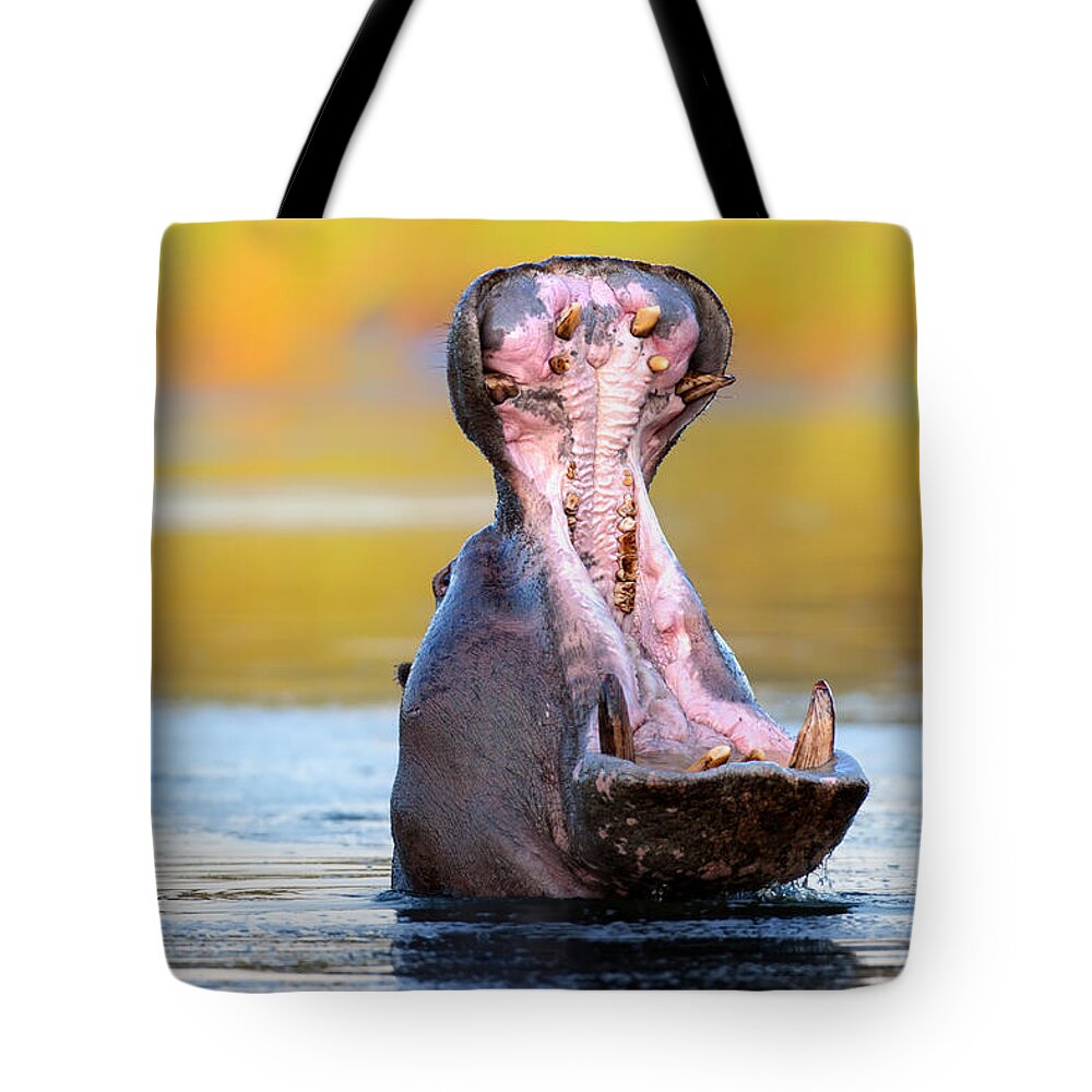Hippopotamus Tote Bag featuring the photograph Hippopotamus displaying aggressive behavior by Johan Swanepoel