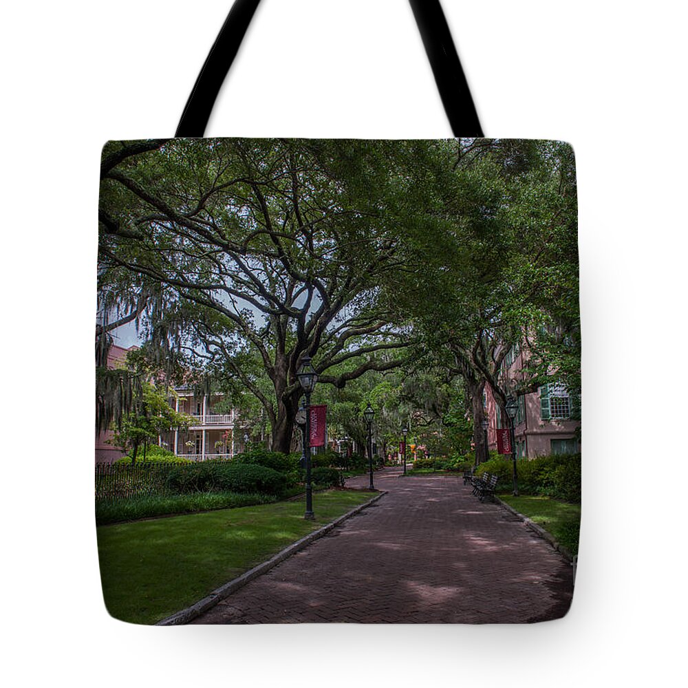 College Of Charleston Tote Bag featuring the photograph Historic Campus by Dale Powell