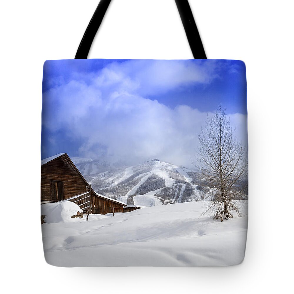 Champagne Powder Tote Bag featuring the photograph Historic Steamboat Springs Barn by Teri Virbickis