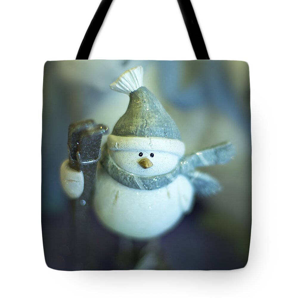 Winter Tote Bag featuring the photograph Hit The Slopes by Evelina Kremsdorf