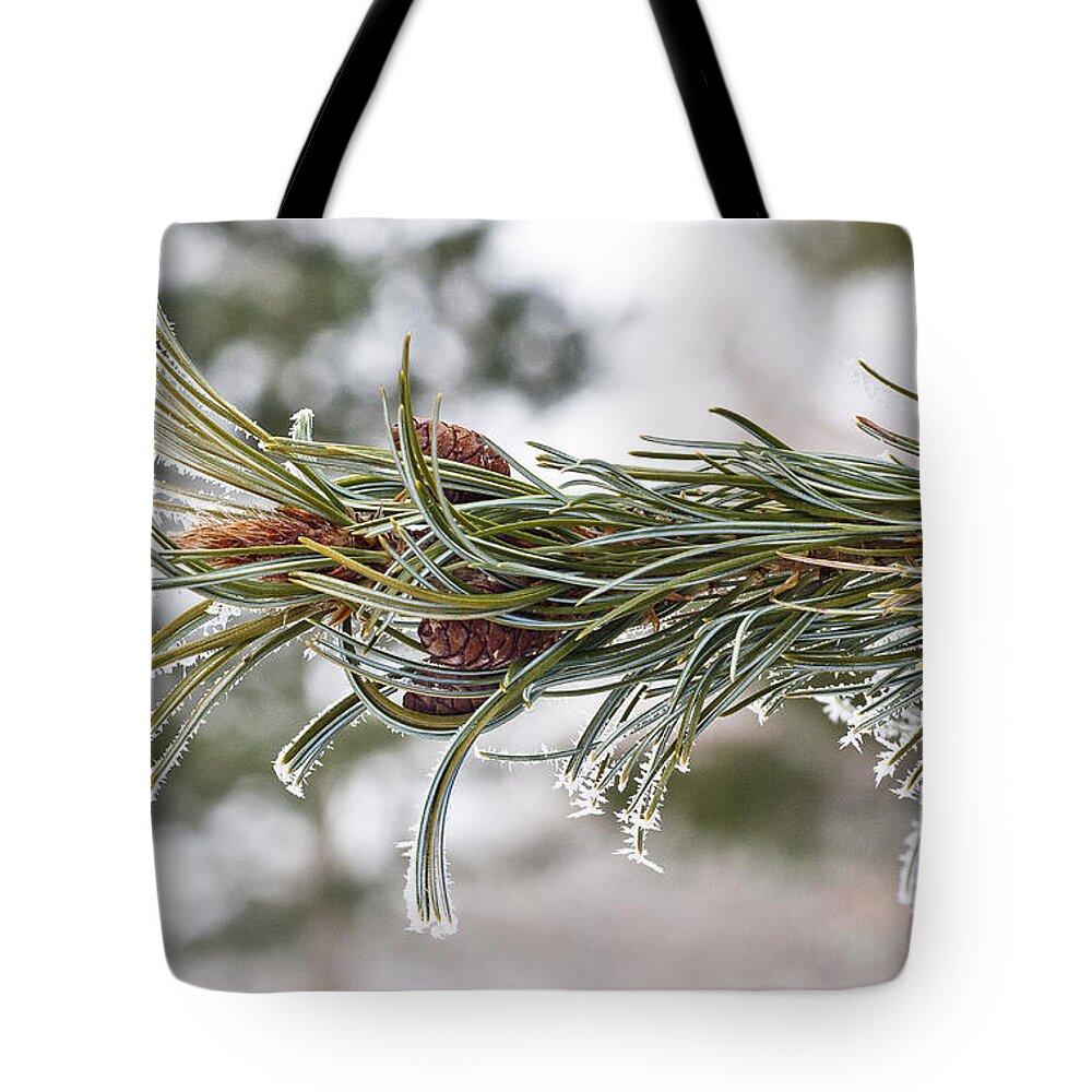 Arboretum Tote Bag featuring the photograph Hoar Frost by Steven Ralser