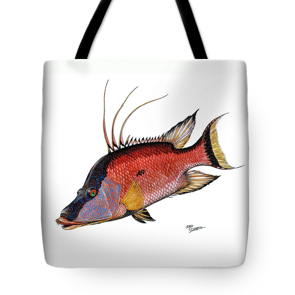 Hogfish Tote Bag featuring the painting Hogfish on white by Steve Ozment
