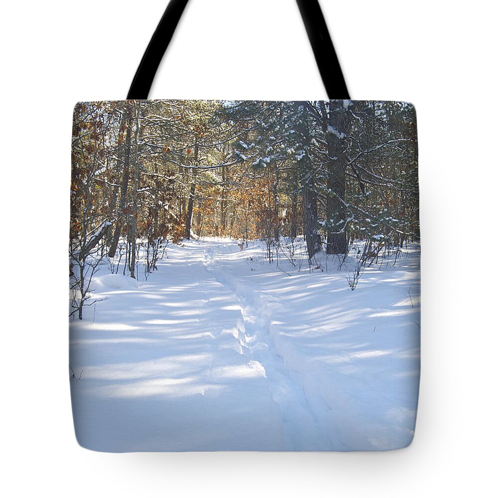 Woods Tote Bag featuring the photograph Hoist Lake Trail by Michael Peychich