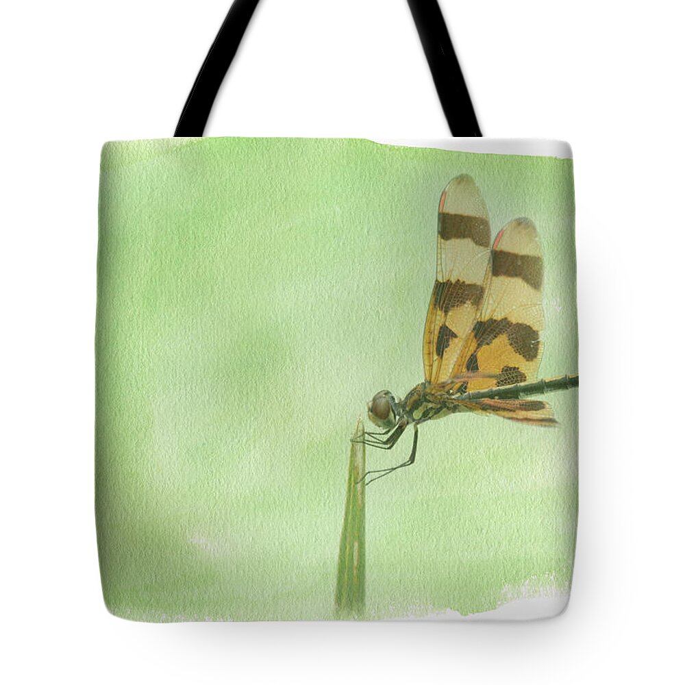 Dragonfly Tote Bag featuring the digital art Holding On by Jayne Carney